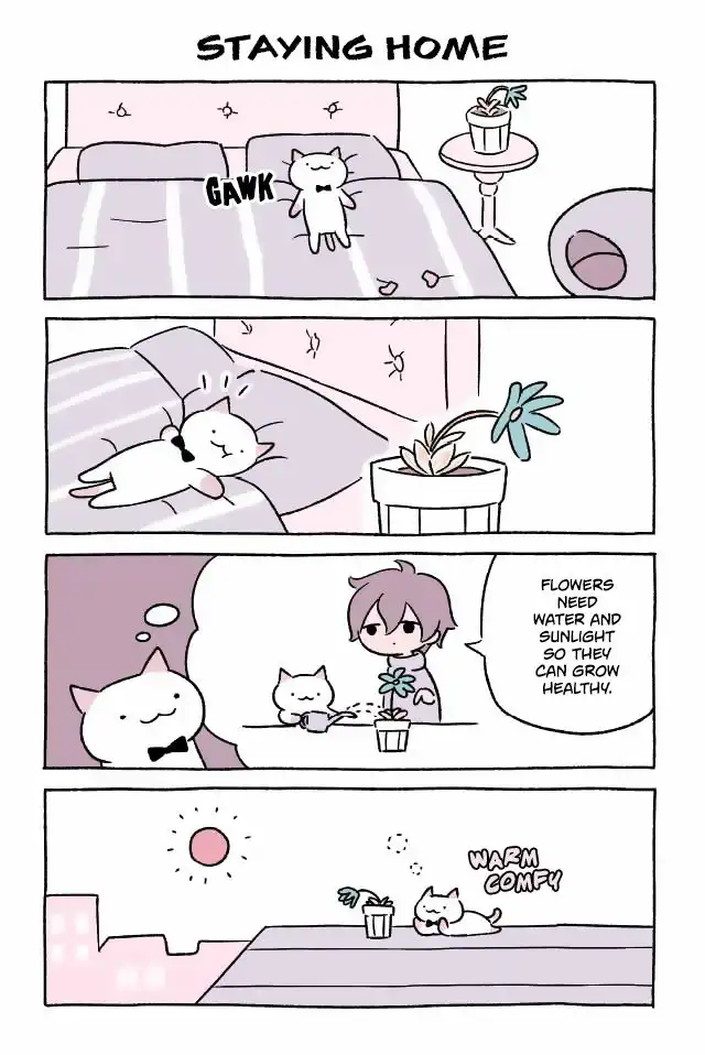 Wonder Cat Kyuu-chan Chapter 28 1